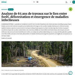 INRAE 07/05/20 Analyse de 65 ans de travaux sur le lien entre forêt, déforestation et émergence de maladies infectieuses