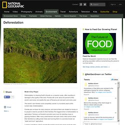 Deforestation Facts, Deforestation Information, Effects of Deforestation