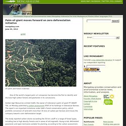 Palm oil giant moves forward on zero deforestation initiative