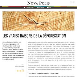 Nova Polis - Les vraies raisons de la déforestation - Joël LaBruyère