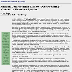 (7/29/97) Amazon Deforestation Risk to "Overwhelming" Number of Unknown Species
