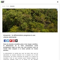 MAXISCIENCES 07/04/12 Amazonie : la déforestation progresse à une vitesse alarmante