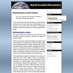 Deforestation – World Socialist Movement