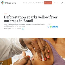 DIALOGOCHINO 10/02/17 Deforestation sparks yellow fever outbreak in Brazil