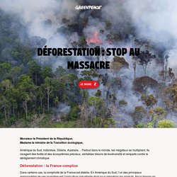 Déforestation : stop au massacre