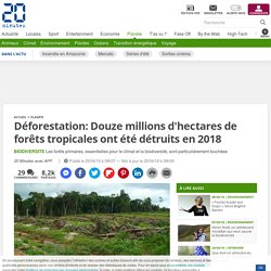 AFP 25/04/19 Déforestation: Douze millions d'hectares de forêts tropicales ont été détruits en 2018