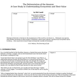 The Deforestation of the Amazon: A Case Study in Understanding Ecosystems and Their Value - Case Study Collection - National Center for Case Study Teaching in Science