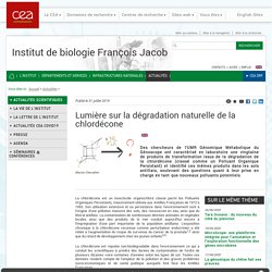 Institut de biologie François Jacob - Lumière sur la dégradation naturelle de la chlordécone