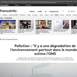 Pollution : "Il y a une dégradation de l’environnement partout dans le monde", estime l'OMS
