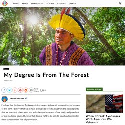 My Degree Is From The Forest