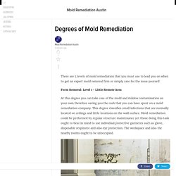 Degrees of Mold Remediation