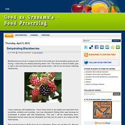 Dehydrating Blackberries ~ Good as Grandma's - Food Preserving
