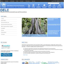 Division of Environmental Law and Conventions (DELC)