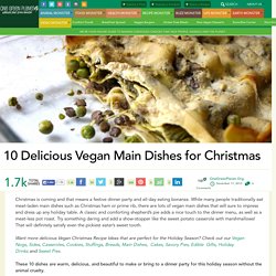 10 Delicious Vegan Main Dishes for Christmas