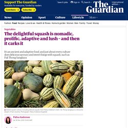 The delightful squash is nomadic, prolific, adaptive and lush – and then it carks it