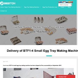 Delivery of BTF1-4 Small Egg Tray Making Machine to Peru