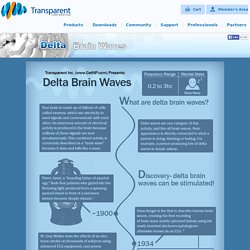 Delta Brain Waves Infographic - Transparent Corp