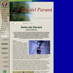 Delta del Paraná - Descripción