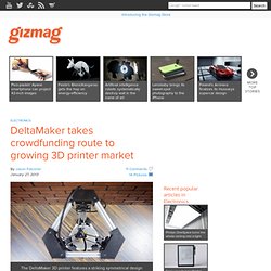DeltaMaker takes crowdfunding route to growing 3D printer market