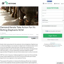 Demand Kerala Take Action For It's Rotting Elephants NOW