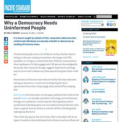 Why a Democracy Needs Uninformed People - Miller-McCune