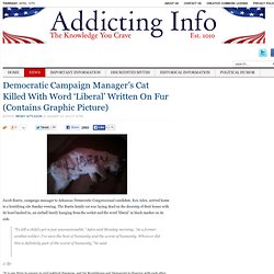 Democratic Campaign Manager’s Cat Killed With Word ‘Liberal’ Written On Fur (Contains Graphic Picture)