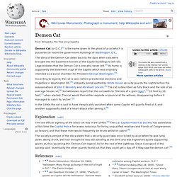 Demon Cat