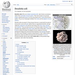 Dendritic cell