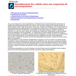 Dénombrement des cellules dans une suspension de microorganismes