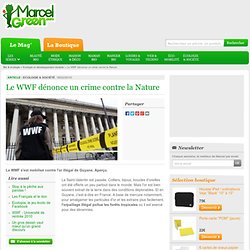 Le WWF dénonce un crime contre la Nature