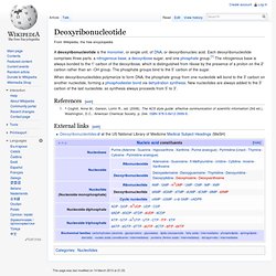 Deoxyribonucleotide