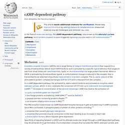 cAMP-dependent pathway