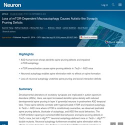 Loss of mTOR-Dependent Macroautophagy Causes Autistic-like Synaptic Pruning Deficits