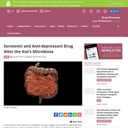 Serotonin and Anti-depressant Drug Alter the Gut’s Microbiota