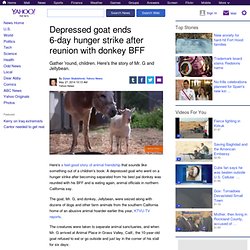 Depressed goat ends 6-day hunger strike after reunion with donkey BFF