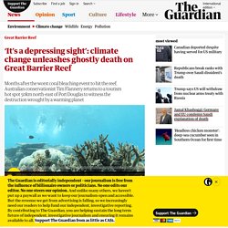 ‘It’s a depressing sight’: climate change unleashes ghostly death on Great Barrier Reef