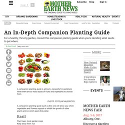 An In-Depth Companion Planting Guide