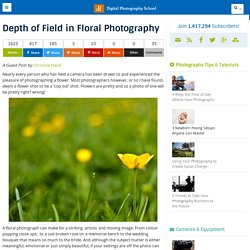 Depth of Field in Floral Photography