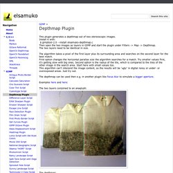 Depthmap Plugin - elsamuko