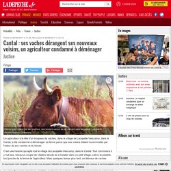 Cantal : ses vaches dérangent ses nouveaux voisins, un agriculteur condamné à déménager - 08/06/2017 - ladepeche.fr