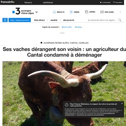 Ses vaches dérangent son voisin : un agriculteur du Cantal condamné à déménager