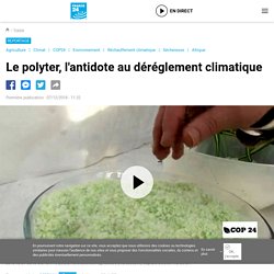 Le polyter, l'antidote au déréglement climatique