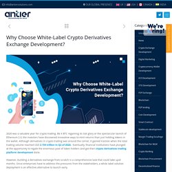 The Advantages of Choosing Whitelabel Crypto Derivatives Exchange Development Services