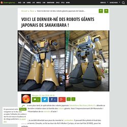 Voici le dernier-né des robots géants japonais de Sakakibara !