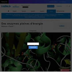 Des enzymes pleines d’énergie