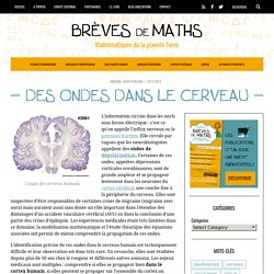 Des ondes dans le cerveau