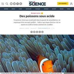 Des poissons sous acide