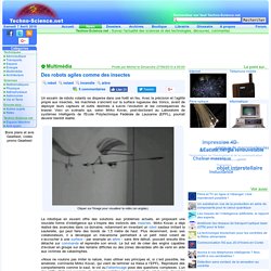 Des robots agiles comme des insectes