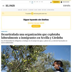 Desarticulada una organización que explotaba laboralmente a inmigrantes en Sevilla y Córdoba