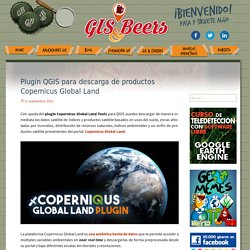 Plugin QGIS para descarga de productos Copernicus Global Land - Gis&Beers